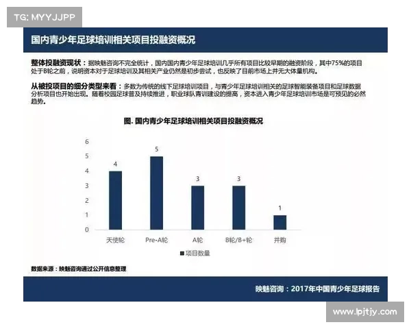 足球俱乐部球员出售计划及实施策略分析报告 足球俱乐部球员出售计划及实施策略分析报告
